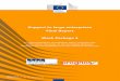 Support to large enterprises Final Report Work Package 4 · This is the Final Report of Work Package 4 (Support to large enterprises) of the ex post evaluation of Cohesion Policy