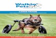 Walkin' Wheels Large Dog Wheelchair Manual · 4. When your dog is comfortable, try putting him in the leg ring support system and attach the front harness to the wheelchair. Give