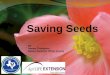 Saving Seeds · TIPS FOR SEED SAVING: When saving seeds of vegetables or flowers, make sure your varieties are labeled “open pollinated” or “heirloom”; hybrid (sometimes labeled