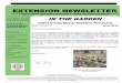 EXTENSION NEWSLETTER · nine different pesky weeds such as porcelain berry, Amur honeysuckle and privet. By outpacing the evergreens and ornamentals that landscaped the site, the