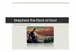 Sheperd the Flock of God the Flock of God.pdf · An honor: Shepherd John 10:11 –“ I am the good shepherd.” Acts 20:28 –Therefore take heed to yourselves and to all the flock,