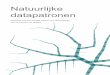 Natuurlijke datapatronen - Tanne van Breetannevanbree.nl/NatuurlijkeDatapatronenTanneVanBree.pdf · van visualisatie, om inzicht in deze complexiteit te creëren. Een ander belangrijk