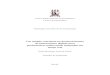Um modelo conceitual no desenvolvimento de instrumentos ...tg/2007-1/phlf.pdf · Um modelo conceitual no desenvolvimento de instrumentos digitais para performances audiovisuais integradas