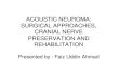 Acoustic Neuroma: Surgical approaches, cranial nerve ...aiimsnets.org/NeurosurgeryEducation/NeurosurgicalSpecialties/Neur… · • Surgical anatomy • Approaches: SO, others- indications,