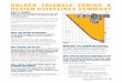 Golden Triangle Zoning Project Overview · 2020-07-29 · The Golden Triangle currently has design guidelines. WHY CHANGE THE RULES? The D-GT zone district was last revised in 1994