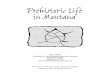 User Guide Provided by The Montana Historical Society ... · PDF file Prehistoric Life in Montana— Explores Montana prehistory and archaeology through a study of the Pictograph Cave
