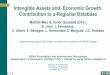 Intangible Assets and Economic Growth. Contribution to a ...web2017.ivie.es/wp-content/uploads/2017/10/Matilde... · Balearic Islands Canary Islands Cantabria Castile and Leon Castile-La
