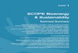SCOPE Bioenergy & Sustainability - BIOEN FAPESPbioenfapesp.org/scopebioenergy/images/chapters/bioen-scope_chapter01.pdf10 chapter 1 SCOPE Bioenergy & Sustainaility Technical Summary