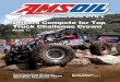 PREFERRED CUSTOMER EDITION · 2017-11-28 · AMSOIL P.i. Performance Improver restores power, improves fuel economy and reduces emissions by cleaning combustion chambers, intake valves