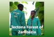 Tectona Forest of Zambezia - Open University€¦ · Tectona Forest of Zambézia e sua experiencia na adquicição de terras comunitarias Tectona Forest of Zambézia e uma empresa