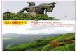 Hotline (24x7) +91 7798204888 Tour Packages.pdf– Matheran (2 Night). Duration: Covering Places DAY 01 – MUMBAI drive to MATHERAN Morning drive to MATHERAN. On arrival drive to