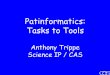 Patinformatics: Tasks to Tools - acscinf.orgacscinf.org/docs/meetings/226nm/presentations/226nm14.pdf · Aureka ThemeScape, ClearResearch, OmniViz, Vivisimo, Delphion Text Clustering,