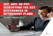 SEP, MEP, OR PEP: IDENTIFYING THE KEY DIFFERENCES IN ... · generally dependent on the plan’s size, meaning smaller plans had significantly fewer options . The world has changed