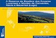 A Reserva da Biosfera dos Ancares Recursos Rurais ...Biosfera de Galicia, o Plan de Acción da Reserva de Biosfera dos Ancares Lucenses e montes de Cervantes, Navia e Becerreá, a
