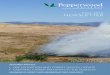 FALL 2016 NEWSLETTER...fire does occur in our wildlands it is much more devastating. Prescribed burning reduces fuel loads and lowers risk of catastrophic fires. This summer, Pepperwood