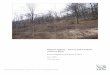 Illegal Logging Survey and Analysis - ace.aua.am · The terms of reference for the mitigation of illegal logging are as follows: Review the available information on illegal logging,