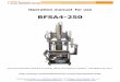 BFSA4-250...Bottling machine has four rinsing nozzles and four filling head with filling nozzles and one pneumatically operated head to capping bottles. Usually operator can use the