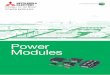 Power Moduleskaitodenshi.sub.jp/datasheet/ps219a4.pdf · 2012-12-13 · Power Modules for Vehicles Power Modules for EV/PHEV T-PM IGBT Modules Insulated Gate Bipolar Transistor Modules