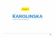 Hola - uch.cat · Karolinska University Hospital and Karolinska Institutet The” Health Care System of Stockholm, Sweden • How it is organized • Role of Karolinska Institutet