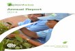 Annual Report - Plantwise · The report is accompanied by annexes, including (1) the final programme milestones report from 2014, (2) the programme milestones for 2015, (3) 1-page