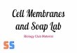 Cell Membranes and Soap Labsparkstem.org/wp-content/uploads/2018/09/Soap-Lab.pdf · solute conc Channel & carrier proteins Active Transport Energy expended to pump solute against