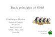 Basic principles of NMR - Freethcgerm.free.fr/IMG/pdf/PrincipeDeBAse_DMarion.pdfBasic principles of NMR Dominique Marion Institut de Biologie Structurale Jean-Pierre Ebel CNRS - CEA