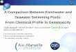 A Comparison Between Freshwater and Seawater Swimming ... · 1 A Comparison Between Freshwater and Seawater Swimming Pools: From Chemical Profile to Genotoxicity Tarek Manasfia, Michel