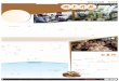 本版编辑∶张家愉视觉设计∶竹建英 加拿大华人超市img1.xinmin.cn/xmwb/2020-03-01/240301.pdf · 公司天捷支付“AlphaPay”合作，为 顾客提供支付宝和微信支付服务。