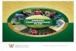 ANNUAL PERFORMANCE PLAN - Sport and Recreation South Africa · tions to UNESCO and the UN Sport for Development and Peace International Working Group (SDP IWG). As chairperson of