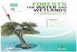 FOrESTS · 2015-03-12 · Wetlands and Forests. It’s a particularly appropriate theme this year since the United Nations has declared 2011 the International Year of Forests and