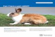 Can I have a pet rabbit?pets if they have been desexed and registered. Although desexed and contained rabbits pose minimal risk to the environment and agriculture, there are practical