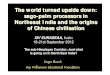The world turned upside down: sago-palm processors in ... Asia/Dublin... · such as the sago palm and the tree-fern, until recent times. Sago processors Ethnographic accounts of populations