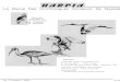 La Revue Des Ornithologues Amateurs De Guyanegepog.org/sites/default/files/fichiers/vie_assoc/harpia/h5complet.pdf · Récit de voyage : A travers les USA ... illustrations tirées