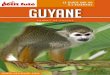 LE GUIDE QUI VA À L’ESSENTIEL Guyaneexcerpts.numilog.com/books/9791033101185.pdf · de Kaw à la recherche de caïmans ou bien encore voyage festif à Saint-Georges de l’Oyapock