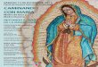 Fiesta de Nuestra Señora de Guadalupe CAMINANDO CON MARíAadw.org/wp-content/uploads/2014/11/15-Guadalupe-flier-Span.pdf · motivo del Año de la Misericordia MISA (Bilingüe) 2:30
