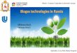 Biogas technologies in Russia · «Russia - Germany Cooperation in alternative energy» September, 21-23, 2016, Nizhny Novgorod Biogas technologies in Russia Mikheeva Elza R. Katraeva