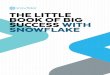 THE LITTLE BOOK OF BIG SUCCESS WITH …...The company wanted all facets of the business—structured data, external data feeds with demographic data, census data, and geolocation data—brought