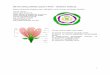 Genel olarak; al), erkek organlar ve · Çiçek tozu ana hücrelerinin çekirdekleri (2n) önce meyoz (redüksiyon), sonra mitoz olmak üzere iki kez bölünerek 4 çekirdek oluur
