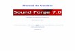 Germano Lins - Sound...¢  Teclas de Atalho Os usu£Œrios experientes em produtos da linha Sound Forge