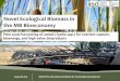 Novel Ecological Biomass in the MB Bioeconomy€¦ · Carbon Offset Credits Ash Rural storm and ditch wetlands Exploration of higher value bioproducts ... SP 3 SP 4 BP 5 SP N Phosphorus