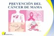 PREVENCIÓN DEL CÁNCER DE MAMA · 2020-07-30 · Actualmente, es el cáncer de mayor incidencia del sexo femenino con una mortalidad similar a la del cáncer de cérvix. JUSTIFICACIÓN
