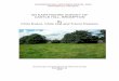 AN EARTHWORK SURVEY OF CASTLE HILL, BROMPTON By Chris ... · Chris Evans, Chris Hall and Trevor Pearson NGR SE 9454 8214 Contents 1. Introduction 2. Geology, topography and land use