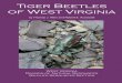 Tiger Beetles of West Virginia - West Virginia Division of ...emerge from pupation in late summer, feed for a short time, then hibernate in the deep sand for the winter. The following