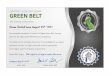 CERTIFIED LEAN SIX SIGMA GREEN BELT · The holder of this certificate has proven the knowledge for successful application of Lean Six Sigma tools and methods appropriate to Six Sigma-Lean©
