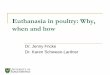 Euthanasia in poultry: When and how · Euthanasia in poultry: Why, when and how Dr. Jenny Fricke Dr. Karen Schwean-Lardner