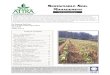 Sustainable Soil Management - Riseup soilmgmt.pdf · //SUSTAINABLE SOIL MANAGEMENT PAGE 3 If you grab a handful of soil, good structure is apparent when the soil crumbles easily in