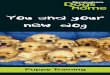 Youandyour new dog - Birmingham Dogs Home€¦ · Puppy Training Youandyour new dog ome ... DON’T leave a puppy alone for more than four hours during the day. 54523_BDH DL you and