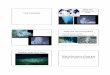 Deep sea vent ecosystemsrlee/ocean/ventbiology.pdf · 2013-07-15 · Deep sea vent ecosystems • High biomass and density • Endemic species specialized for vent life Seafloor away