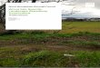 Wirral Site Specific Landscape Sensitivity Assessment Addendum · 2020-05-29 · Landscape Design Strategic Planning & Assessment Development Planning Urban Design & Masterplanning