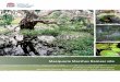 Macquarie Marshes Ramsar site - Office of Environment and ... · The Macquarie Marshes are located on the lower floodplain of the Macquarie River in central western NSW. The Macquarie